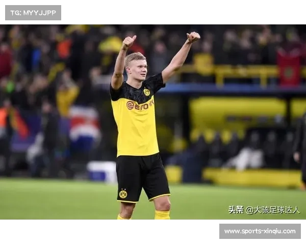 德甲俱乐部股价波动，投资市场信心指数